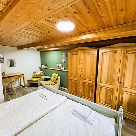 Fewo Dana Im Haus Harzglueck Sankt Andreasberg Exterior photo