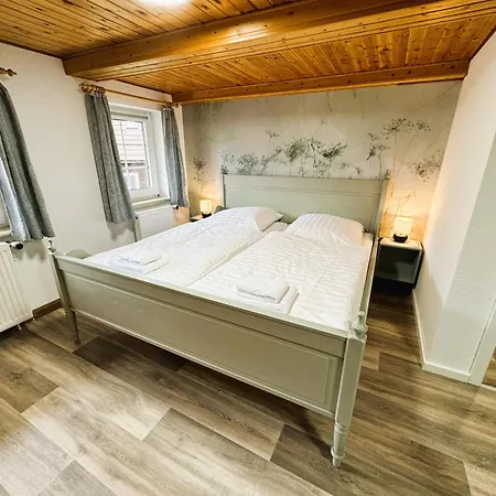 Fewo Dana Im Haus Harzglueck Sankt Andreasberg Exterior photo